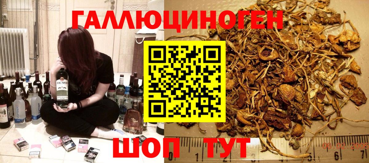 Галлюциногенные грибы Cubensis  Вход с VPN  Абакан  Псилоцибиновые грибы прущие грибы 